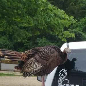 Meet your Posher, Joseph